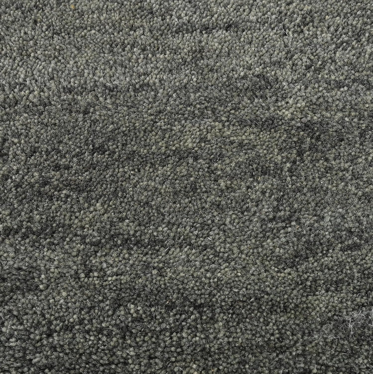 Hand-Tufted Wool Rug - Intricate White Vine Border Carpet