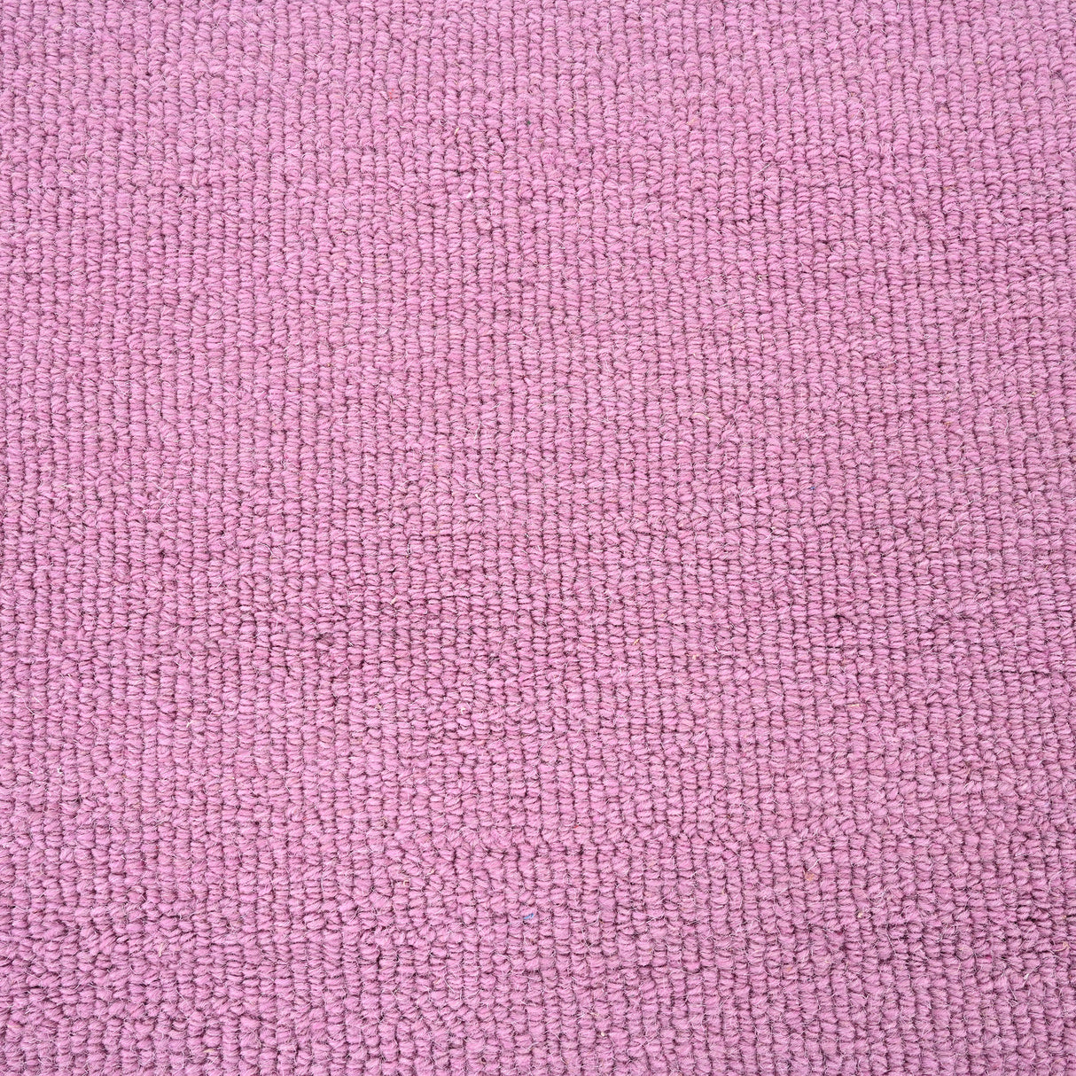 Scalloped Wool Rug – Hand-Tufted, Thick & Soft, Wavy Edge with Cotton Backing