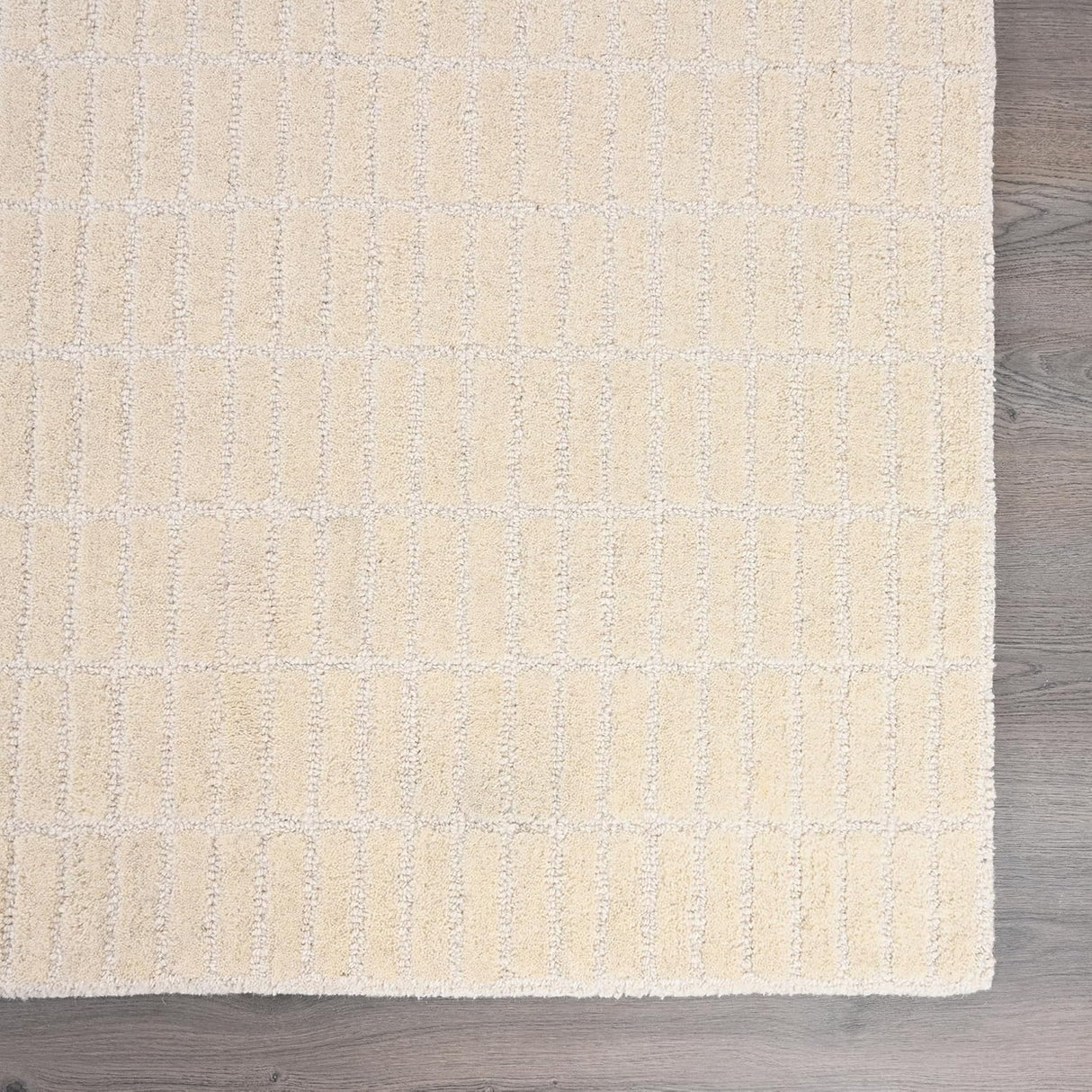 Handmade Capitola Space Dyeing Imported Premium Wool Area Rug