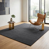 Solid Hand Tufted Wool Area Rug, Soft Plush Carpet